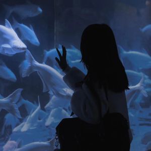 受孕屋第二季第2集
